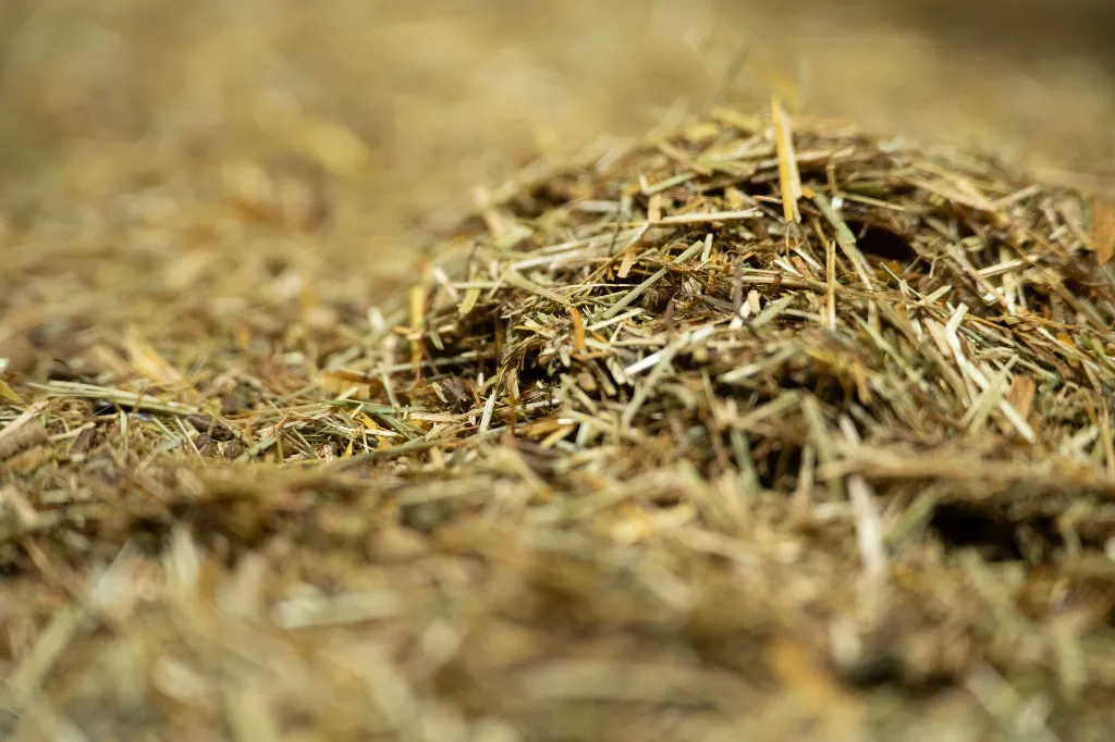 24-1659 - Pure Feed - Raw Ingreidents-13.webp