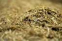 24-1659 - Pure Feed - Raw Ingreidents-13.webp