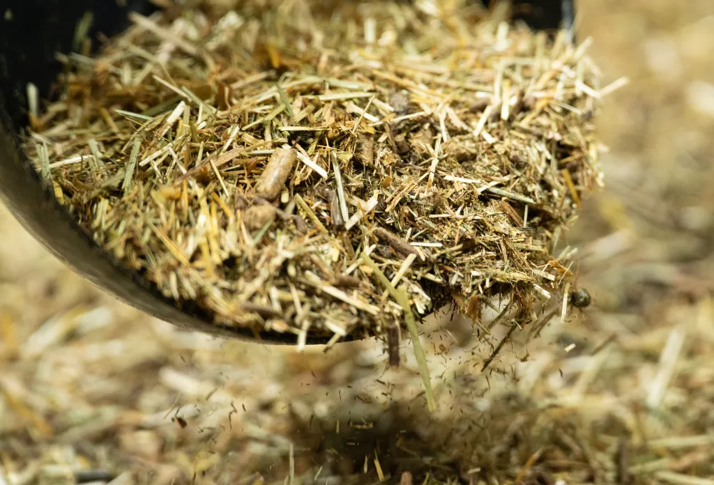 24-1659 - Pure Feed - Raw Ingreidents-11.webp