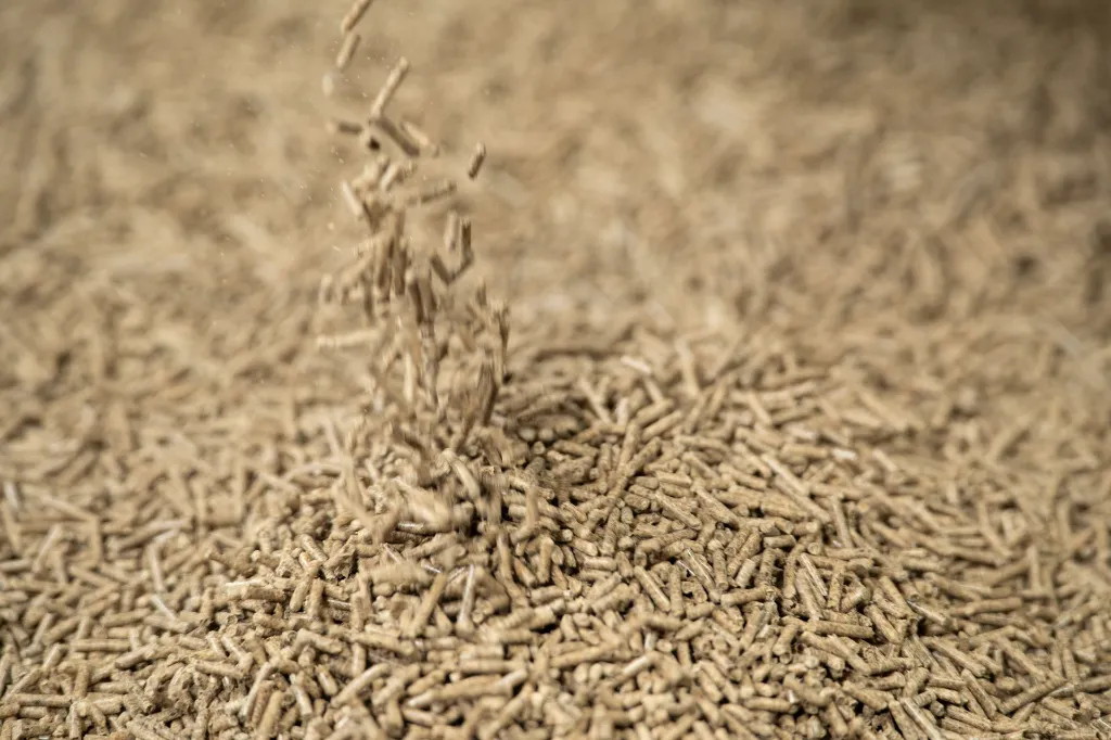 Meadow Mash-169.webp