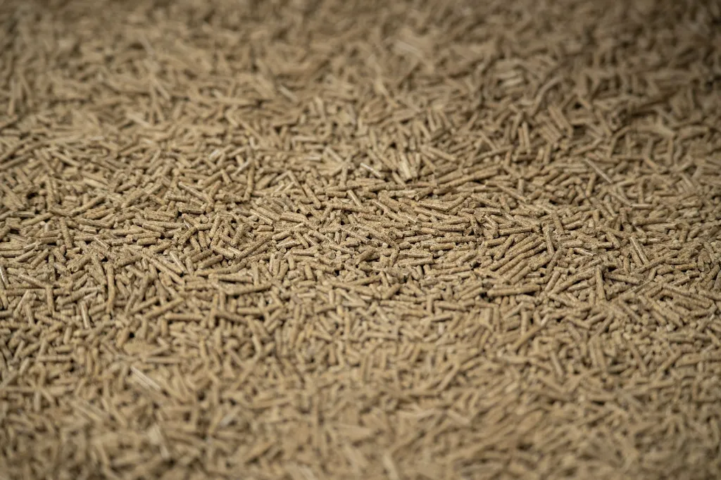 Meadow Mash-165.webp