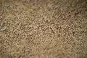 Meadow Mash-165.webp