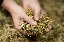 24-1659 - Pure Feed - Raw Ingreidents-65.webp