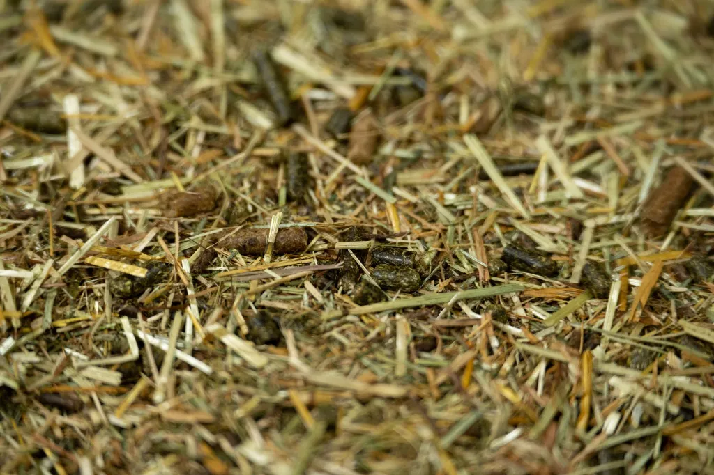 24-1659 - Pure Feed - Raw Ingreidents-68.webp