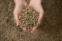 24-1659 - Pure Feed - Raw Ingreidents-90.webp