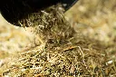 24-1659 - Pure Feed - Raw Ingreidents-46.webp