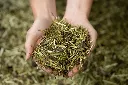 24-1659 - Pure Feed - Raw Ingreidents-124.webp