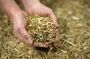 24-1659 - Pure Feed - Raw Ingreidents-39.webp