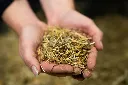 24-1659 - Pure Feed - Raw Ingreidents-16.webp