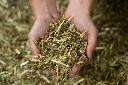 24-1659 - Pure Feed - Raw Ingreidents-137.webp
