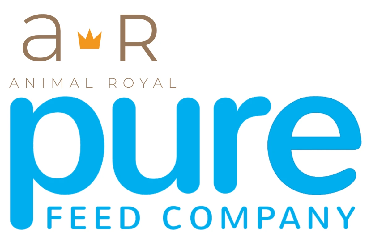 Pure Feed Benelux